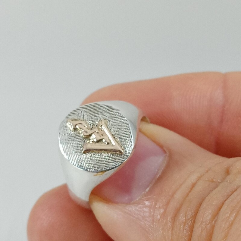 Anillo de profesión de Veterinaria/o en plata y oro Anillo de profesión de Veterinaria/o en plata y oro