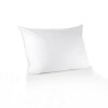 Almohada efecto pluma II 50 x 70 cm