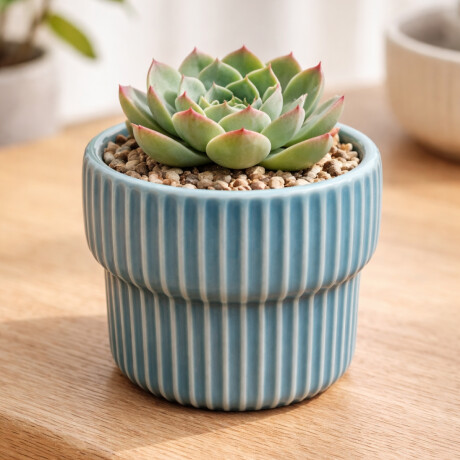 Maceta de cerámica con diseño acanalado – Colores pastel – Decoración para interiores y jardín Celeste