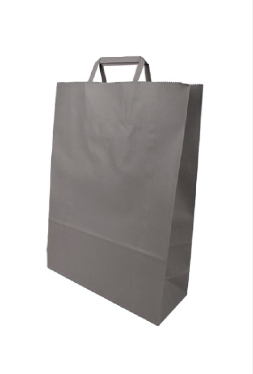 Bolsa lisa acuario 30x12x41 cm - GRIS SOMBRA 