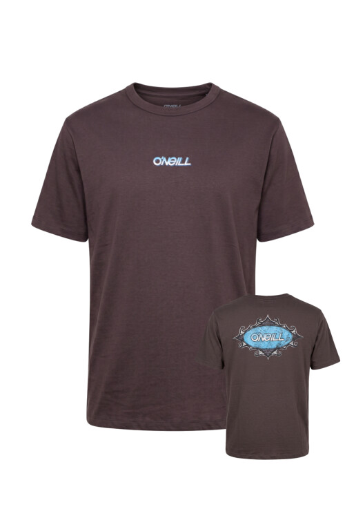 Remera O'Neill Coastline Gothic Marrón