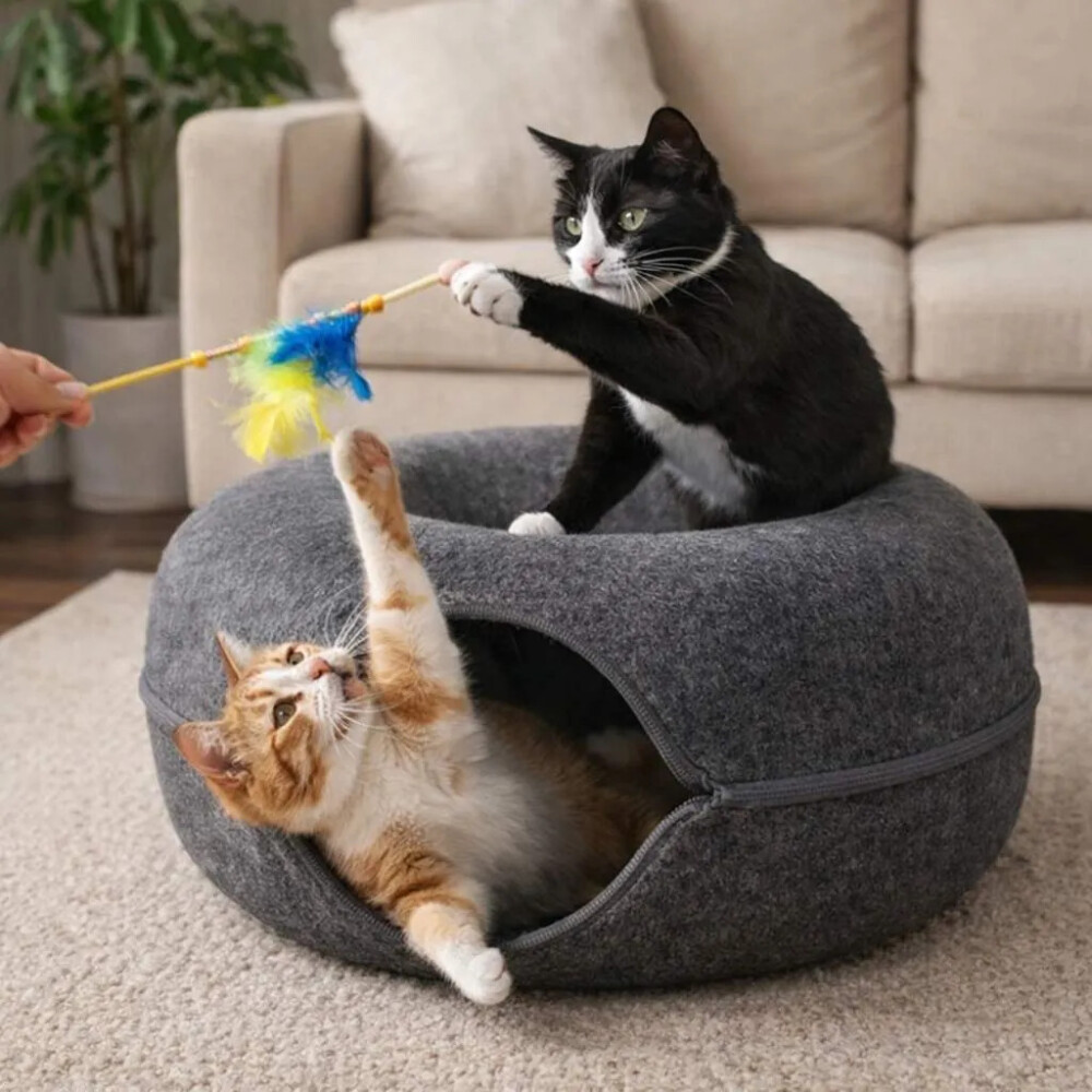 Cama Túnel Dona Grande Para Gatos Y Perros 2 En 1 Cama Túnel Dona Grande Para Gatos Y Perros 2 En 1