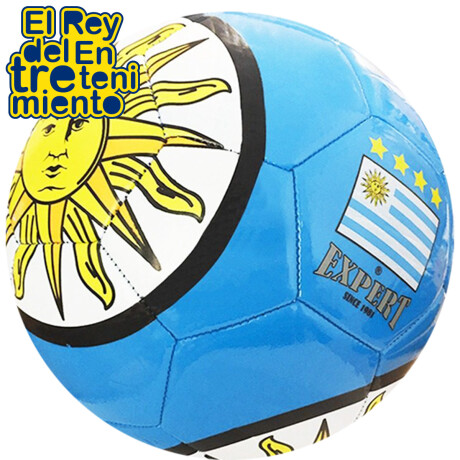 Pelota Expert N5 Fútbol Diseño Uruguay Profesional Celeste