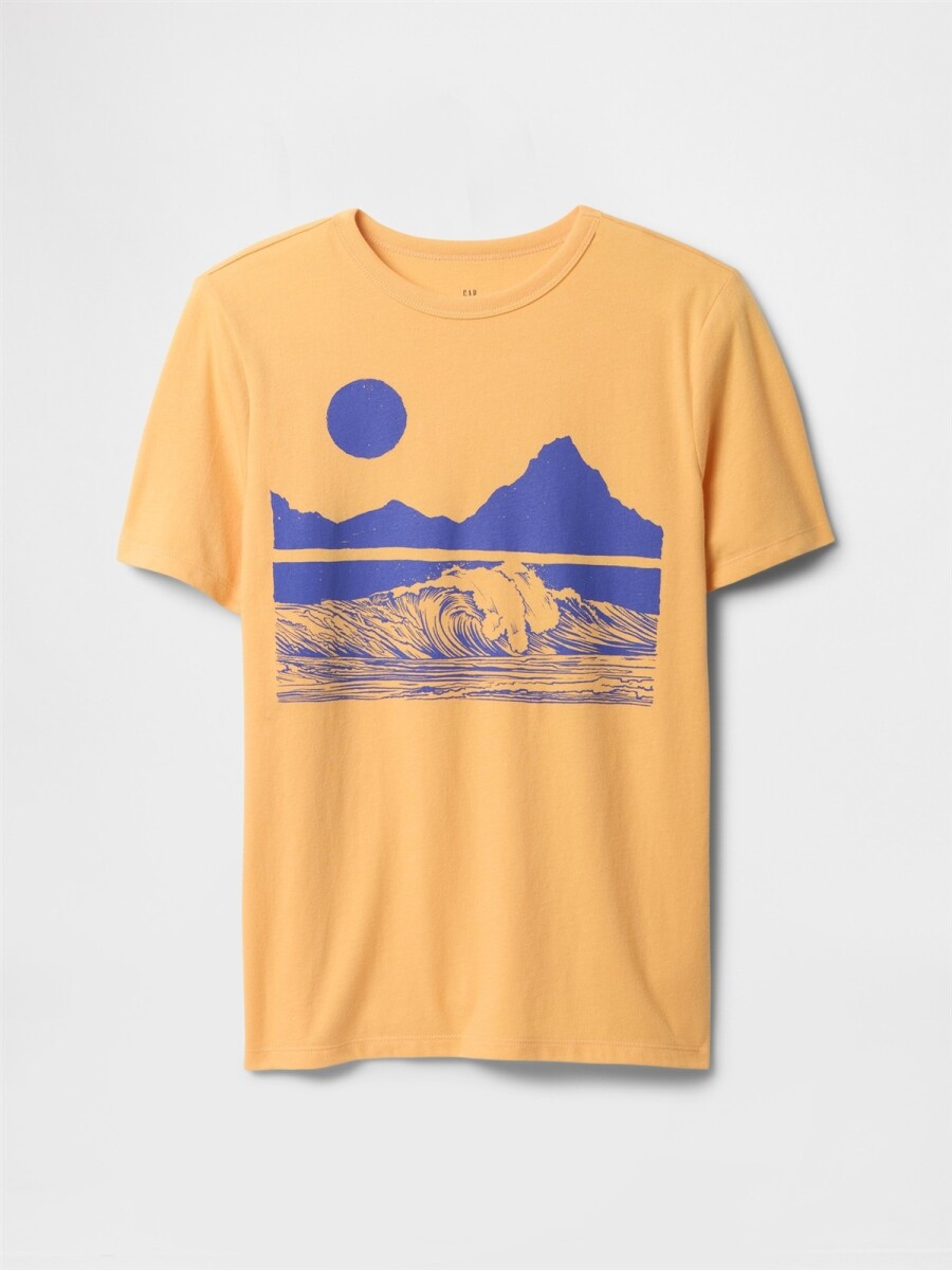 Remera Gráfico Niño - Orange Nectar 660 