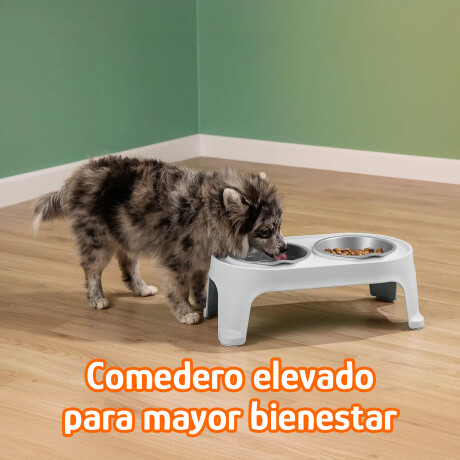 Comedero y Bebedero Elevado para Mascotas Pequeñas Rimax Gris