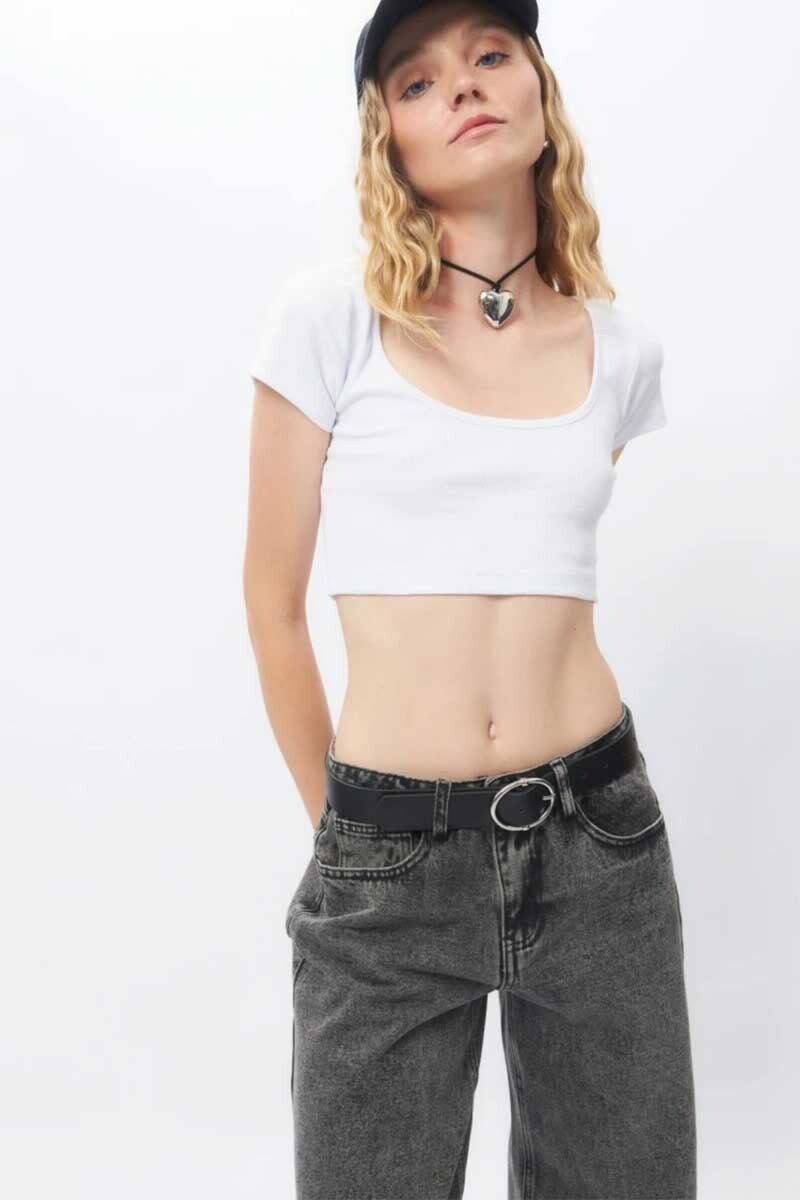 TOP PIECE OF CAKE GERANIUM 