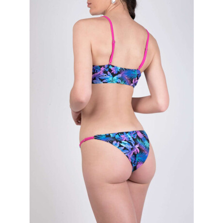 Vedetina hortensia Neon tropic