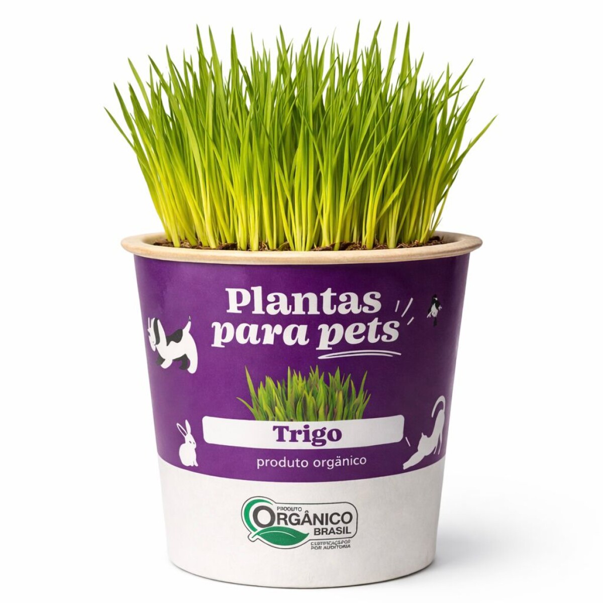 ALIMENTO PARA MASCOTAS 