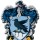 Soquete Harry Potter 3pcs Ravenclaw