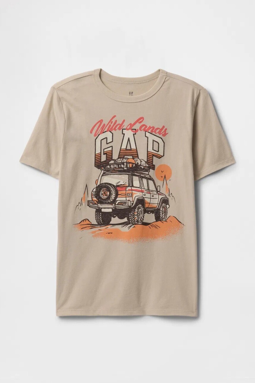 Remera Gráfico Niño Bedrock 291