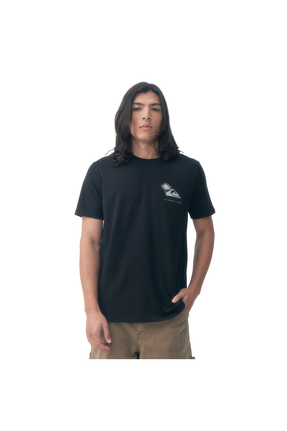 Quiksilver Remera PALM ISLAND Hombre - Negro Negro