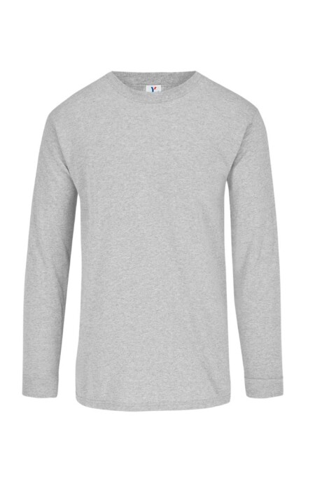 Camiseta a la base niño manga larga Gris japse