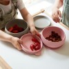 Bowl ventosa silicona Minikoioi rosado