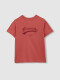 Camiseta Boyscrew Rosa