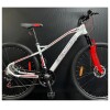 Bicicleta De Montaña Baccio Alpina X Rodado 29 Freno Disco Blanca(Pausado) Bicicleta De Montaña Baccio Alpina X Rodado 29 Freno Disco Blanca(pausado)