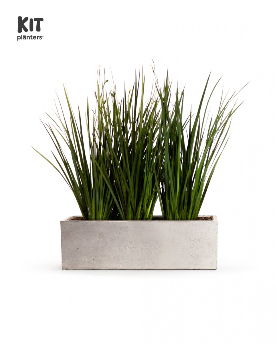 KIT Jardinera - "Gris laca" 1m* 30cm* 30cm* con Dietes, Sustratos y Cubresuelo 