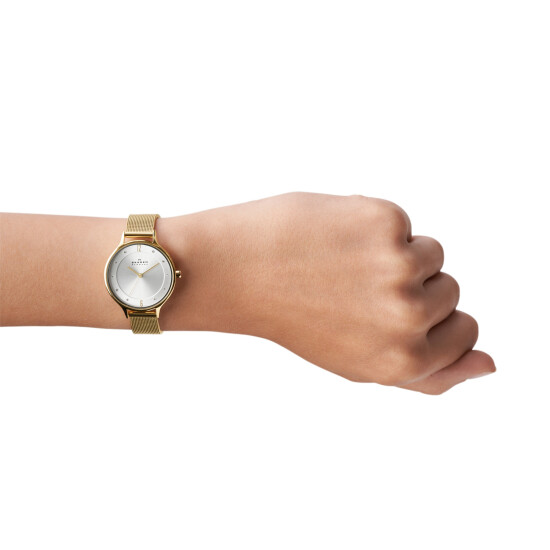 Reloj Skagen Fashion Acero Oro 0