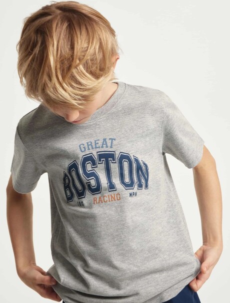 CAMISETA BÁSICA CON ESTAMPA GRIS