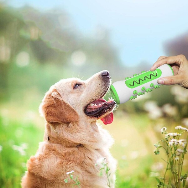 Juguete Dental Hueso Dispensador Comida Perro Anti Sarro Color Variante Blanco Verde