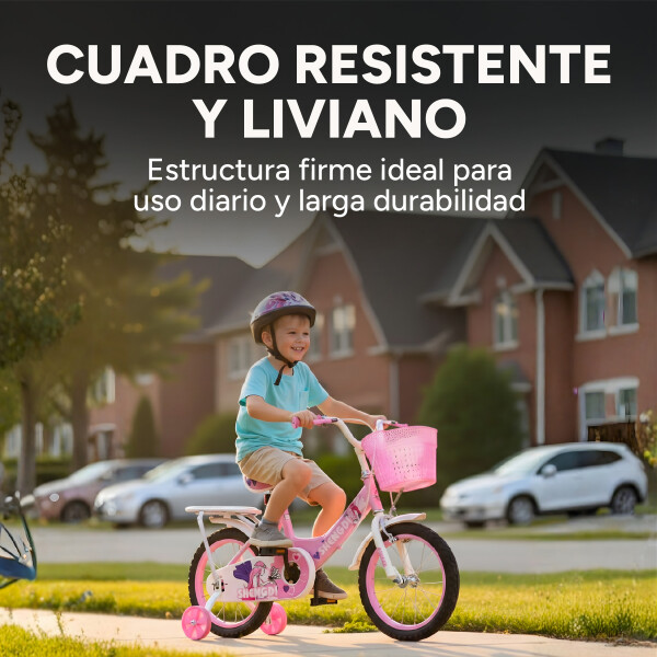 Bicicleta infantil Shengdi Rodado 14 Canasto Parrilla Hadas Rosa 2