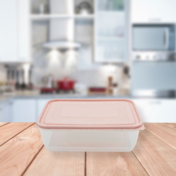 RECIPIENTE RECTANGULAR ELEGANT FRESHLIFE 3,8L SURTIDO RECIPIENTE RECTANGULAR ELEGANT FRESHLIFE 3,8L SURTIDO