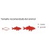 Sera Goldfish Color Granules 95 gr Sera Goldfish Color Granules 95 gr