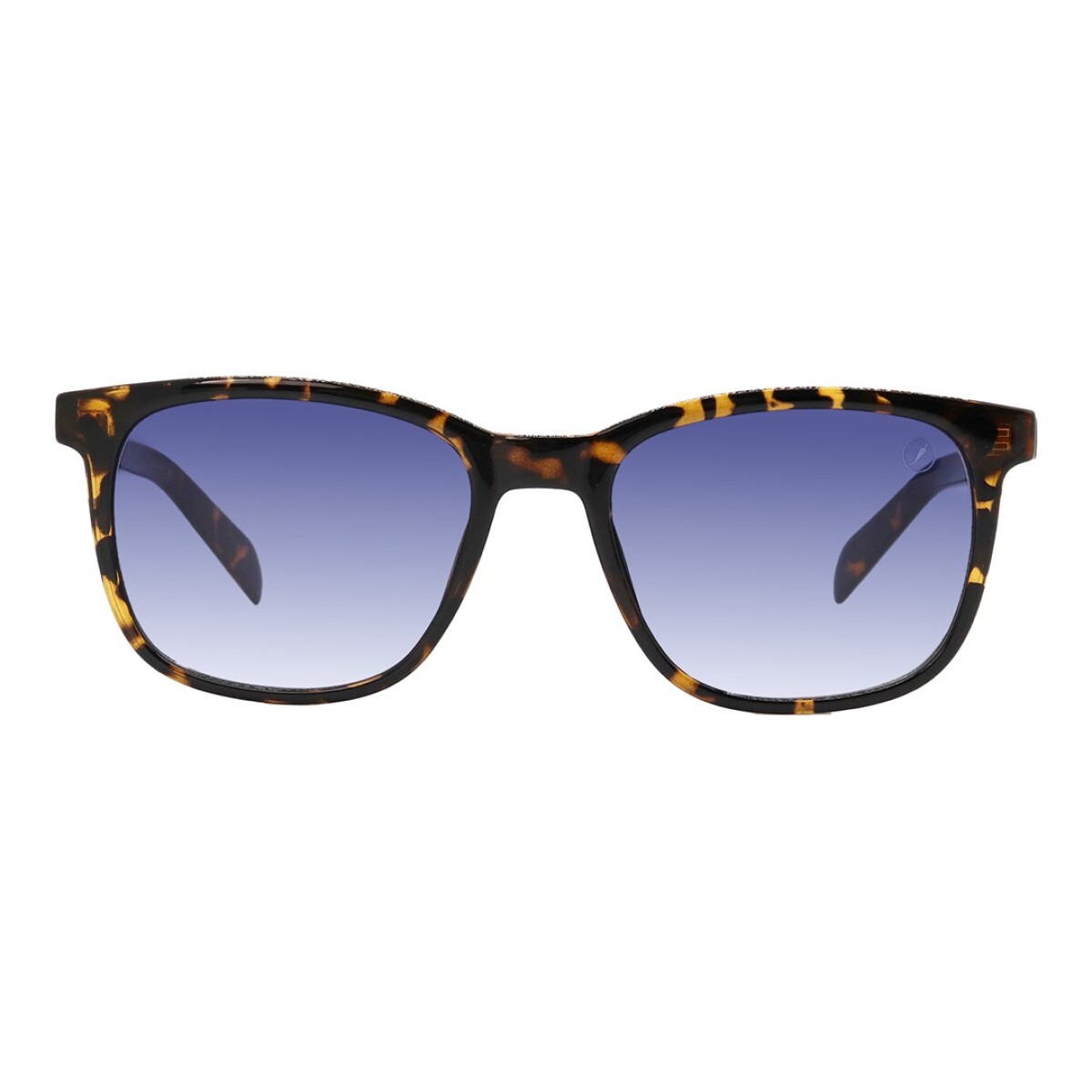 Lente de Sol Chilli Beans Anitta - Animal Print Azul 