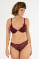 Soutien moraea Bordeaux oscuro