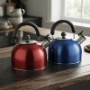Caldera 3 L acero inox color con silbato Caldera 3 L acero inox color con silbato