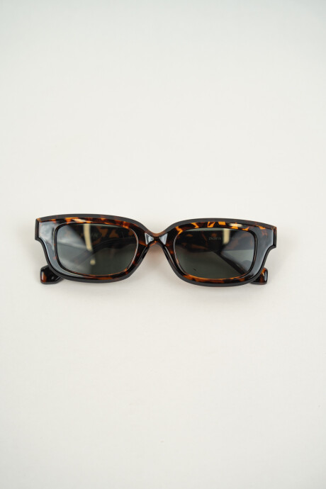 Lentes Zn3619 Estampado 1