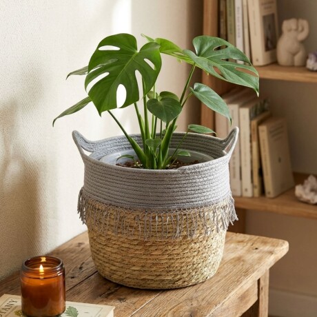 Canasto Seagrass 31 cm Gris