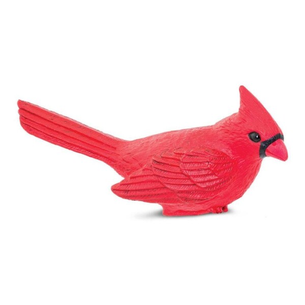 Pajaro Cardenal Cardinal Safari Figura Muñeco Realista Pajaro Cardenal Cardinal Safari Figura Muñeco Realista