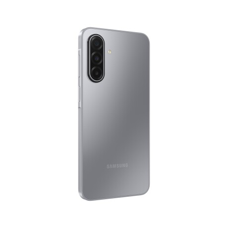 Samsung Galaxy A17 LTE 256GB Gray