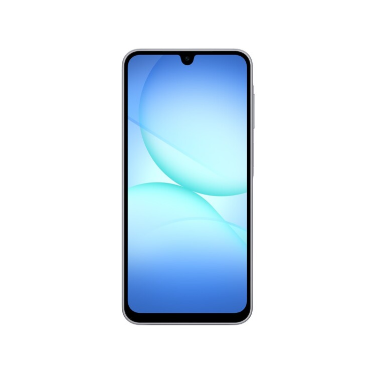 Samsung Galaxy A17 LTE 256GB Gray