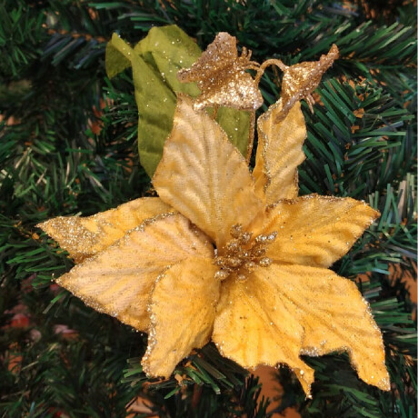 Estrella Federal Amarilla Con Detalles En Dorado Y Hoja Verd Estrella Federal Amarilla Con Detalles En Dorado Y Hoja Verd