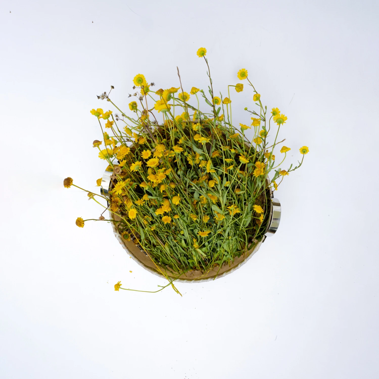 Round Table Basket - Grande