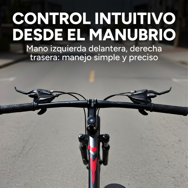 Bicicleta Jook Montaña Rod 29 Freno Disco 21 Velocid Shimano Color Gris