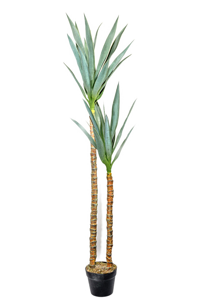 Planta Mandioca 130cm - Color Unico 