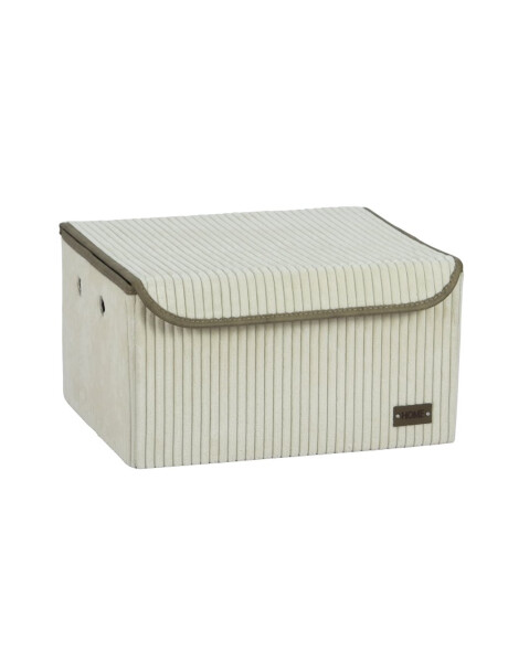 CAJA ORGANIZADOR REC C/TAPA 40X30XH22CM PANA CRUDO CAJA ORGANIZADOR REC C/TAPA 40X30XH22CM PANA CRUDO