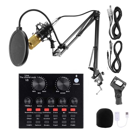 Microfono con Brazo y Ecualizador Streaming 001