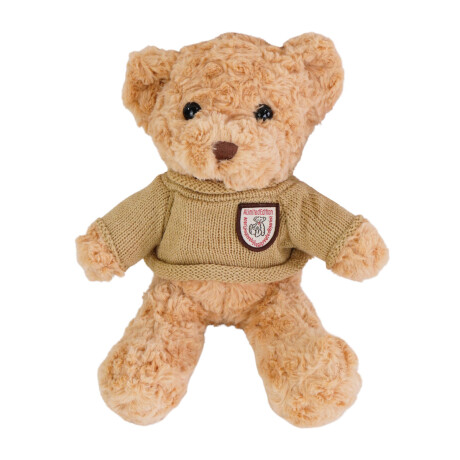 Oso de peluche con buzo tejido Oso de peluche con buzo tejido