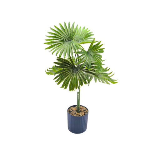 Planta de Saw 30cm Planta de Saw 30cm