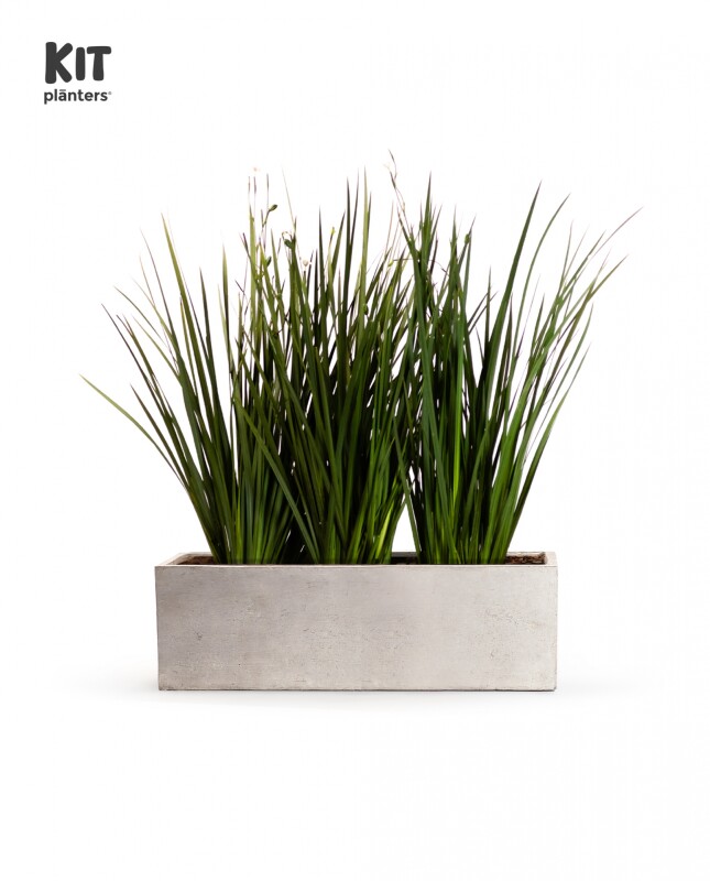 KIT Jardinera "Gris laca" 1m* 30cm* 30cm* con Dietes, Sustratos y Cubresuelo
