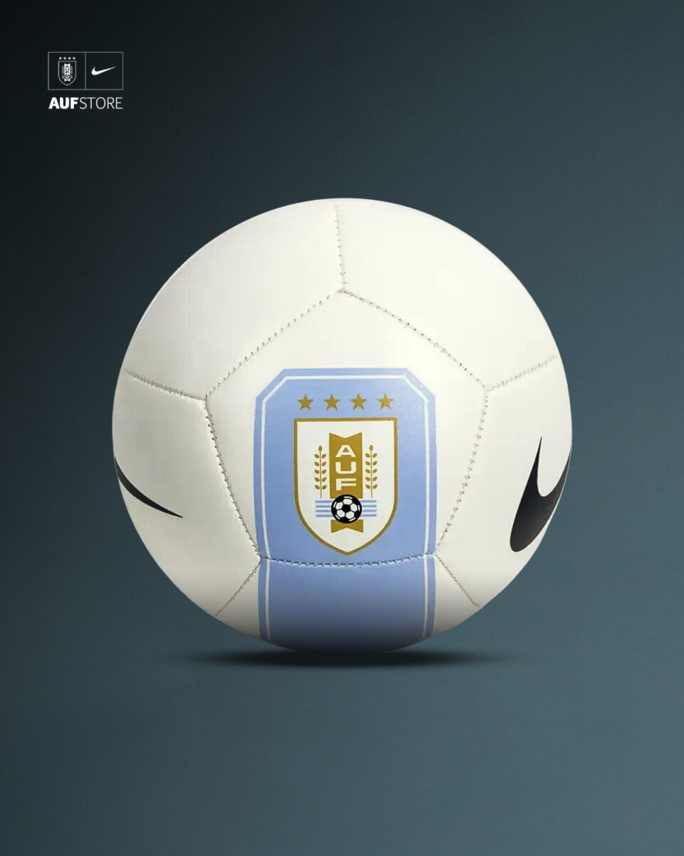 Pelota Nº2 AUF-NIKE 2026 