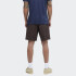Bermuda Stance Carpenter FreshTek Marrón