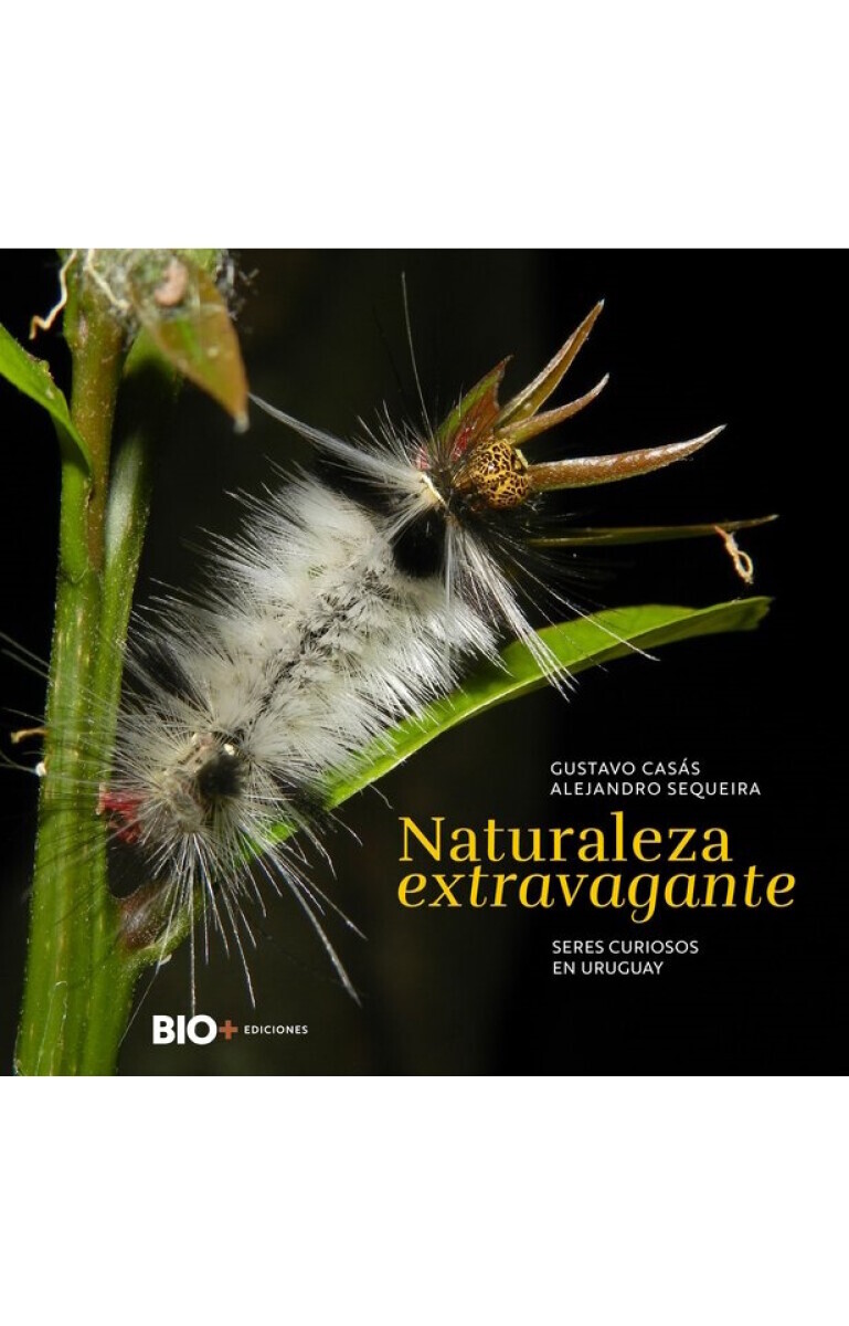 NATURALEZA EXTRAVAGANTE 
