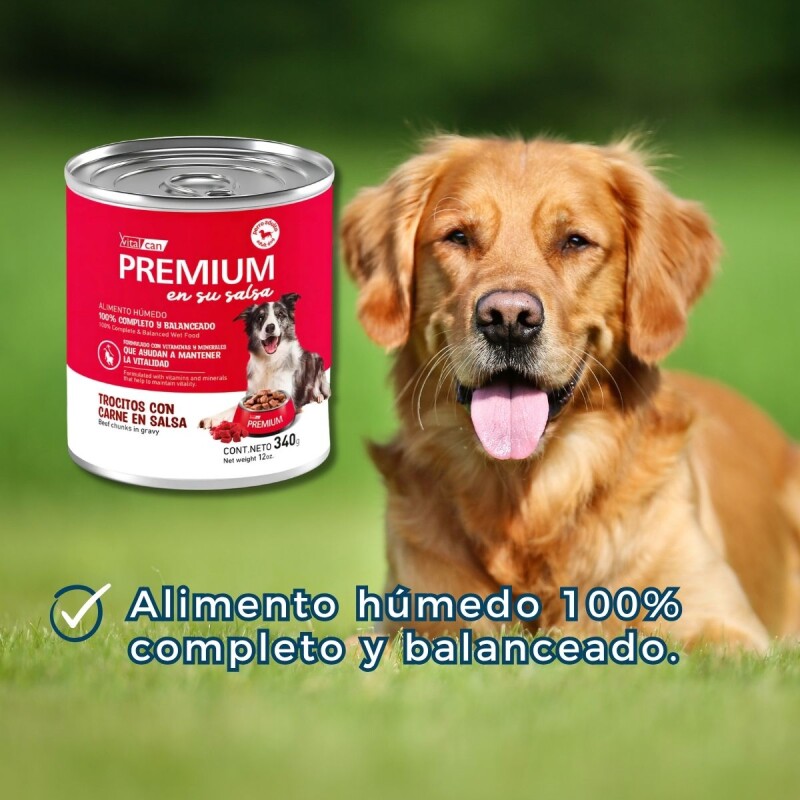 PREMIUM SALSA PATÉ PERRO ADULTO CARNE 340 GR PREMIUM SALSA PATÉ PERRO ADULTO CARNE 340 GR