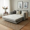SOFA CAMA 146 MTS - PARRILLA EXTENSIBLE TELA GRIS - ALMOHADONES TELA CLARA SOFA CAMA 146 MTS - PARRILLA EXTENSIBLE TELA GRIS - ALMOHADONES TELA CLARA