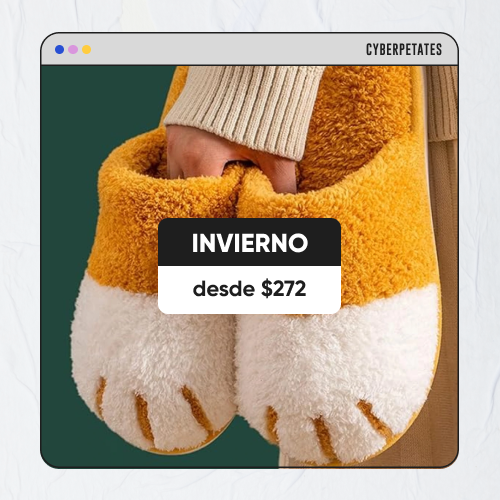 HomeTercio1 - CYBER Invierno
