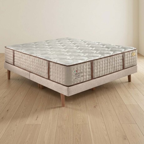 SOMMIER RESORTES BRAVO QUEEN